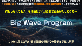 ビッグウェーブプログラム