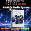 ANGLEX Media System